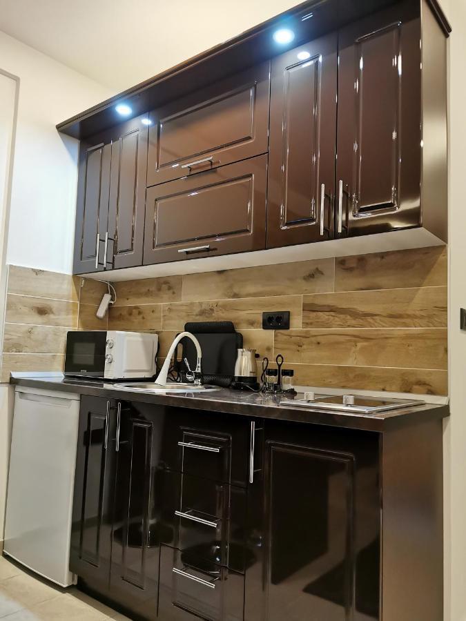 Kopaonik apartmani NR Zewnętrze zdjęcie